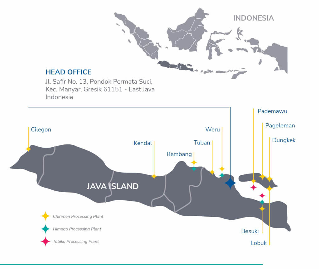 Head Office Location